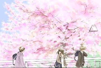 蘑菇网91